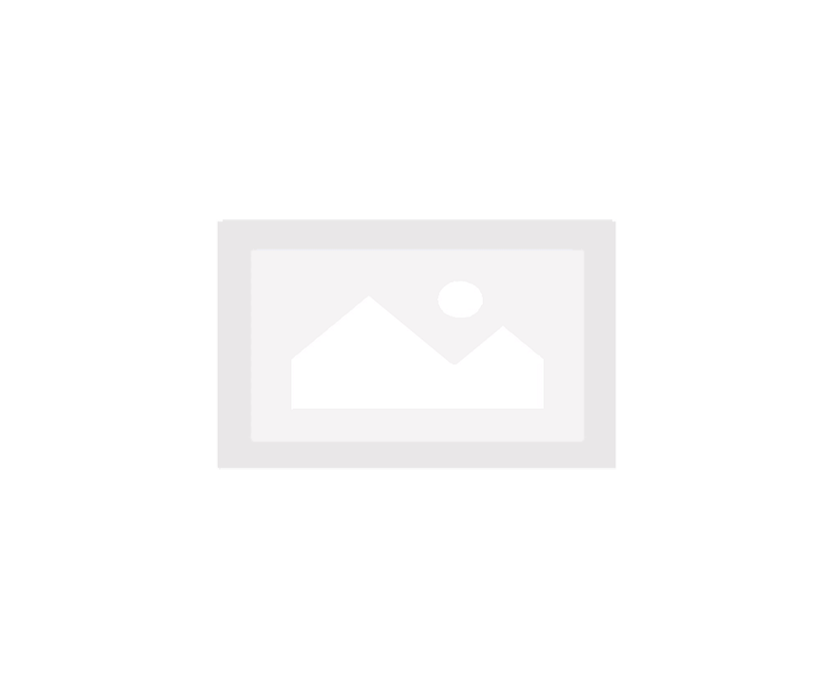 Gas Pro GP-400 Vanes